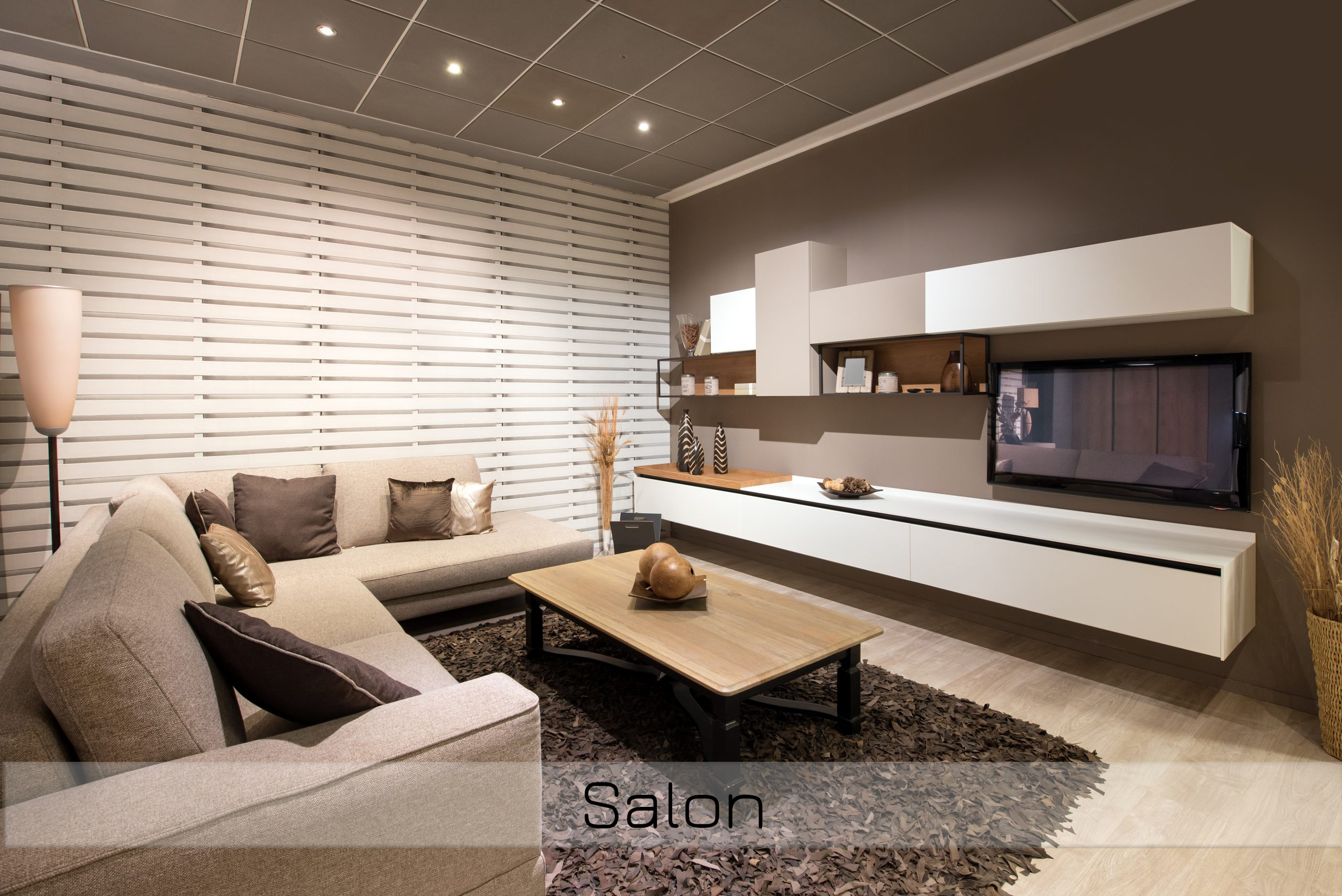 elegant-living-room-
