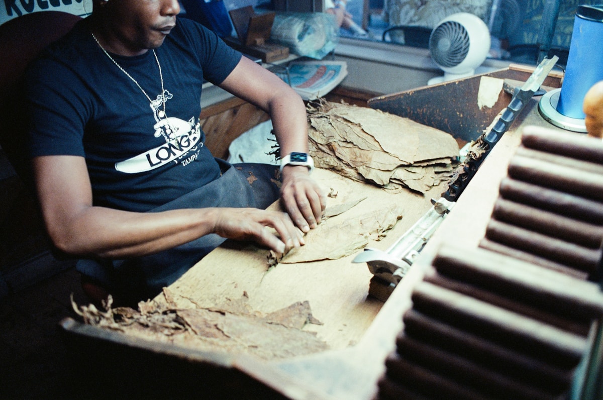 Un homme enroulant des feuilles de tabac pour fabriquer des cigares.